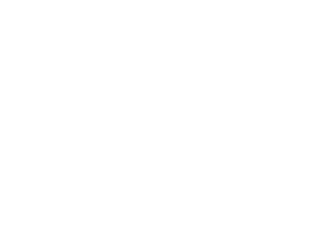 Life Reflections Project