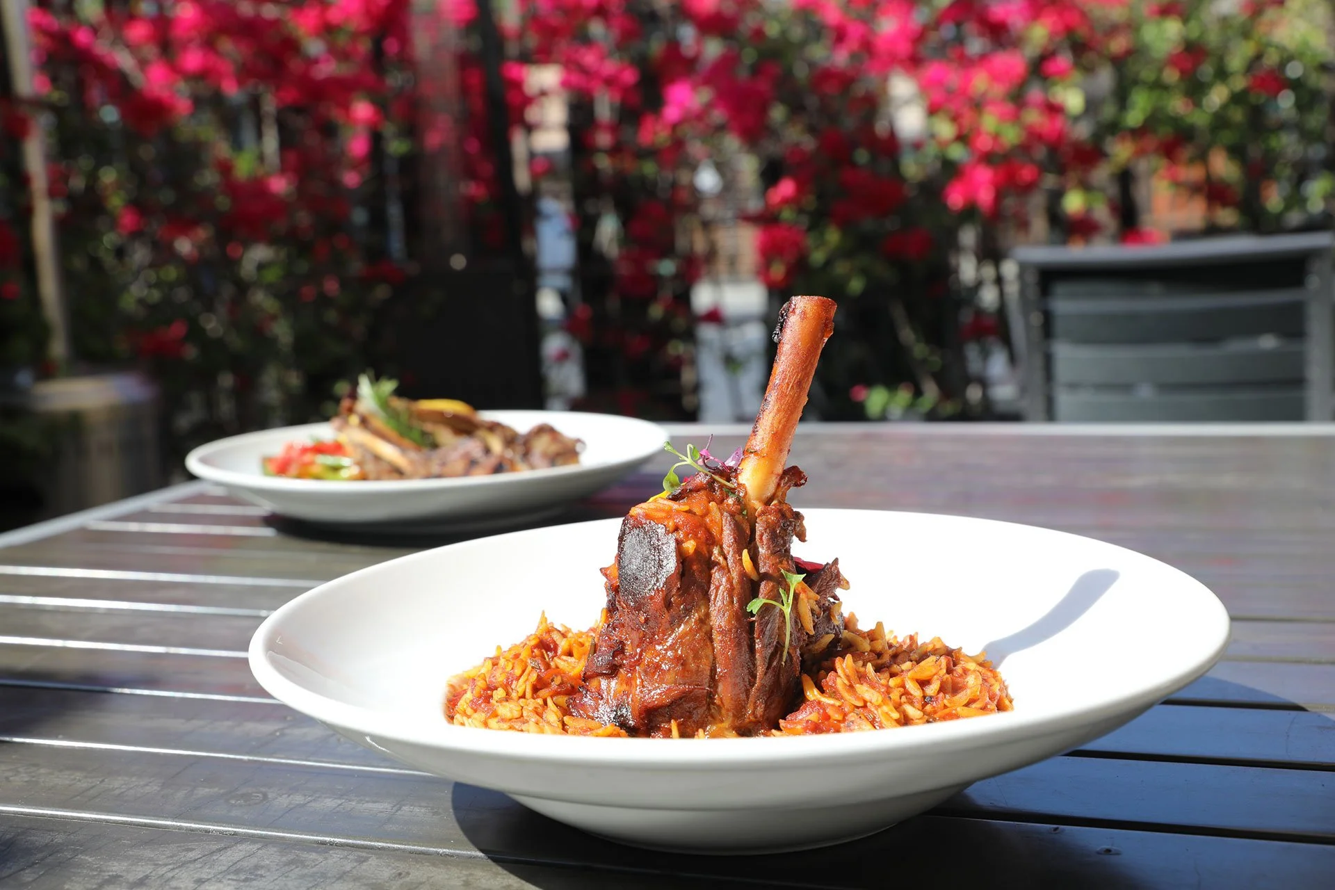 Greek Night at Foothill Restaurant: A Warm, Authentic Mediterranean Evening in Pasadena