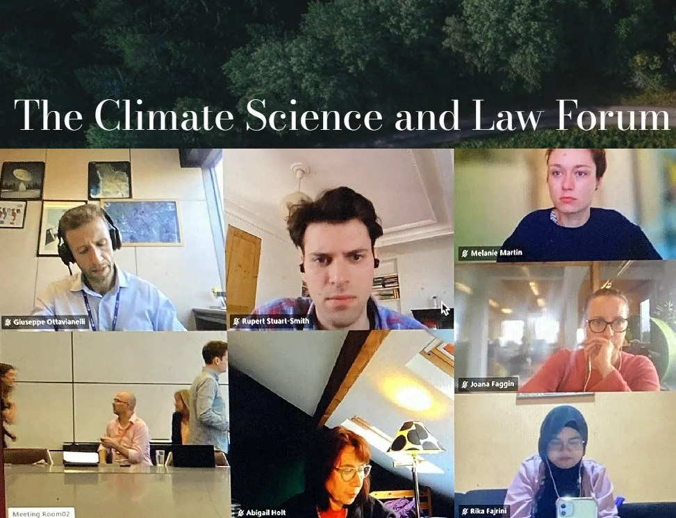 Climate Science and Law Forum explores damage-based claims against illegal deforestation