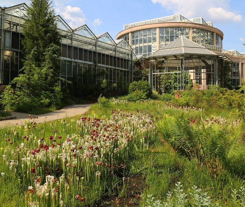 Atlanta Botanical Gardens hosts the city’s conservation community and Conservation-Litigation.org