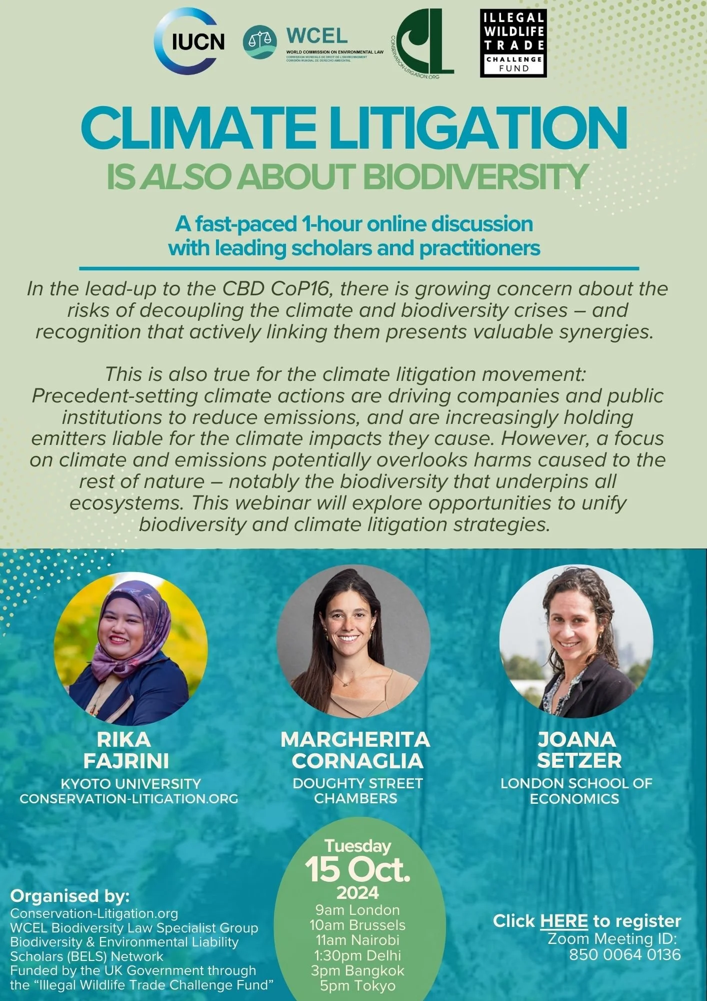 Announcing our October webinar: Climate Litigation is ALSO about ...