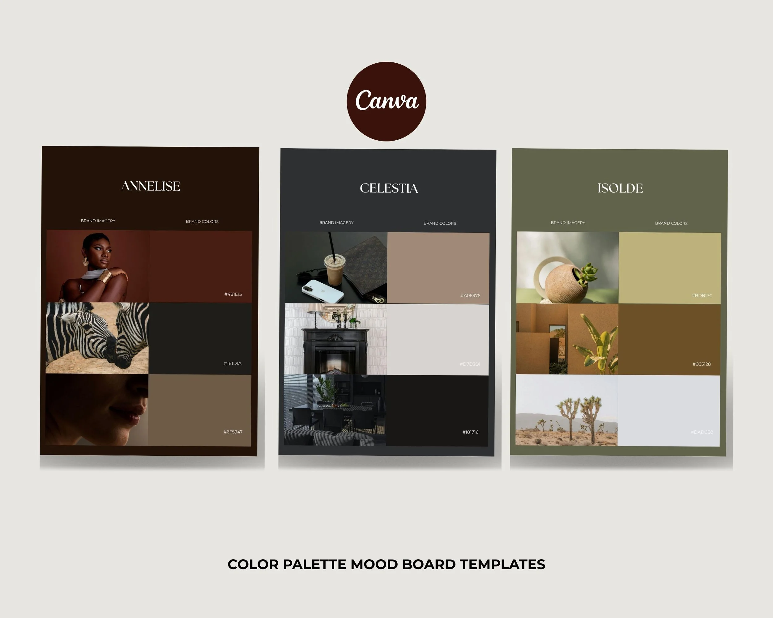 Website Templates, Aesthetic Stock Images & Digital Products