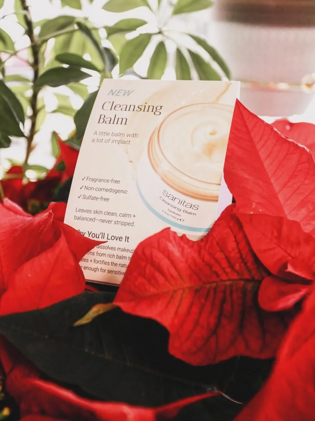 ✨️ THIS WIND. OMG. ✨️ Consider this your open-ended invitation to stop in and try @sanitas_skincare's new cleansing balm. Its luxurious texture and moisture *really* help with dry, flaky skin.❄️