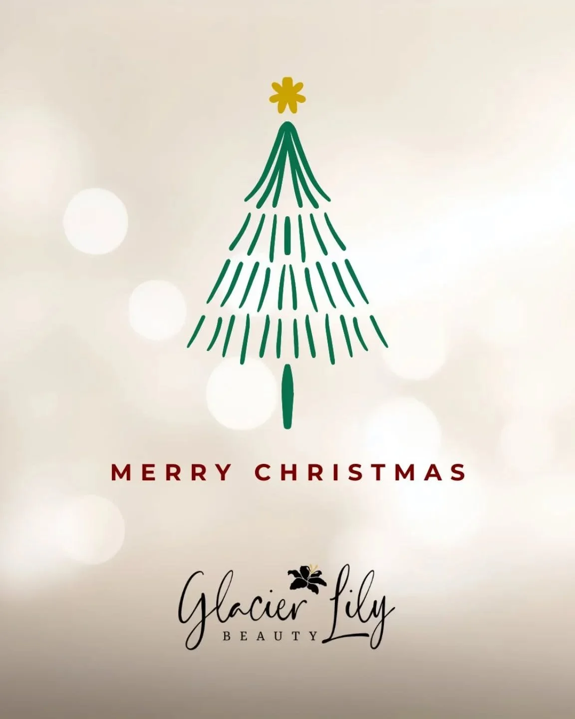 🎄✨️ We wish you a Merry Christmas &amp; a Happy New Year! ✨️🎄