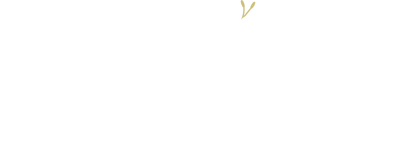 Glacier Lily Beauty