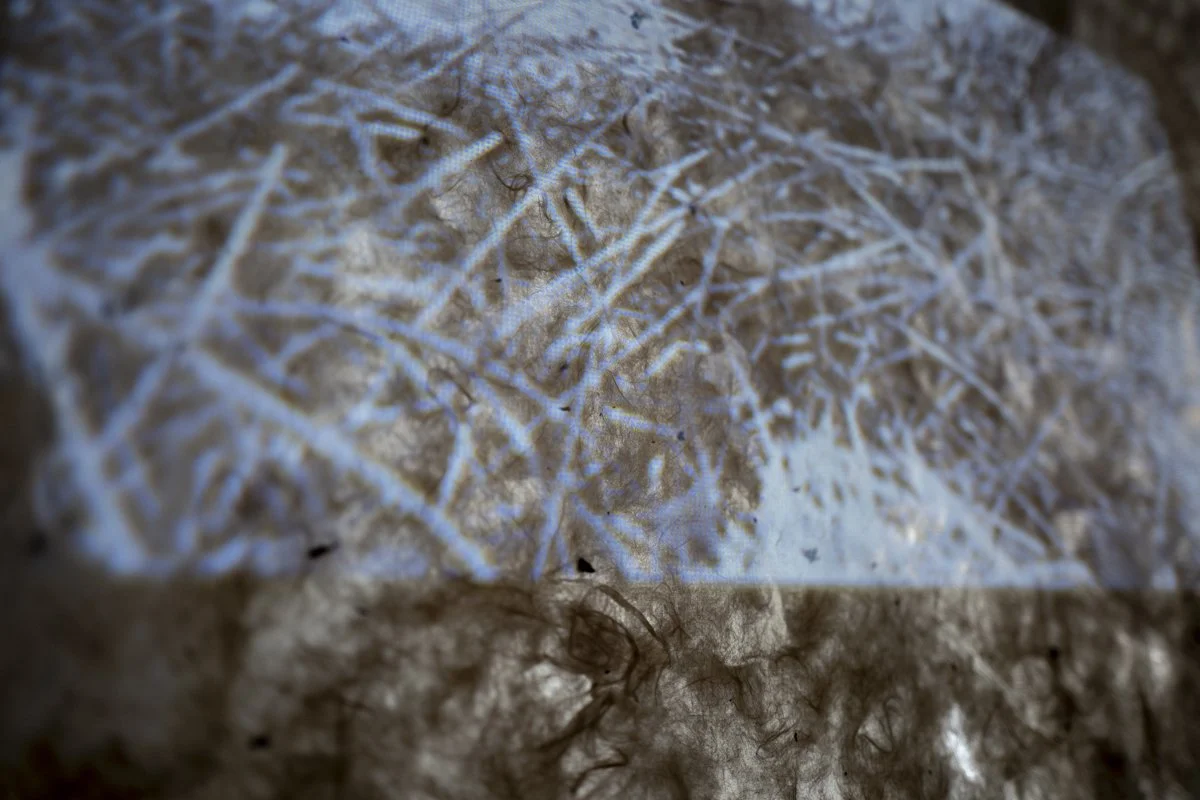 The Clotheslines (detail)