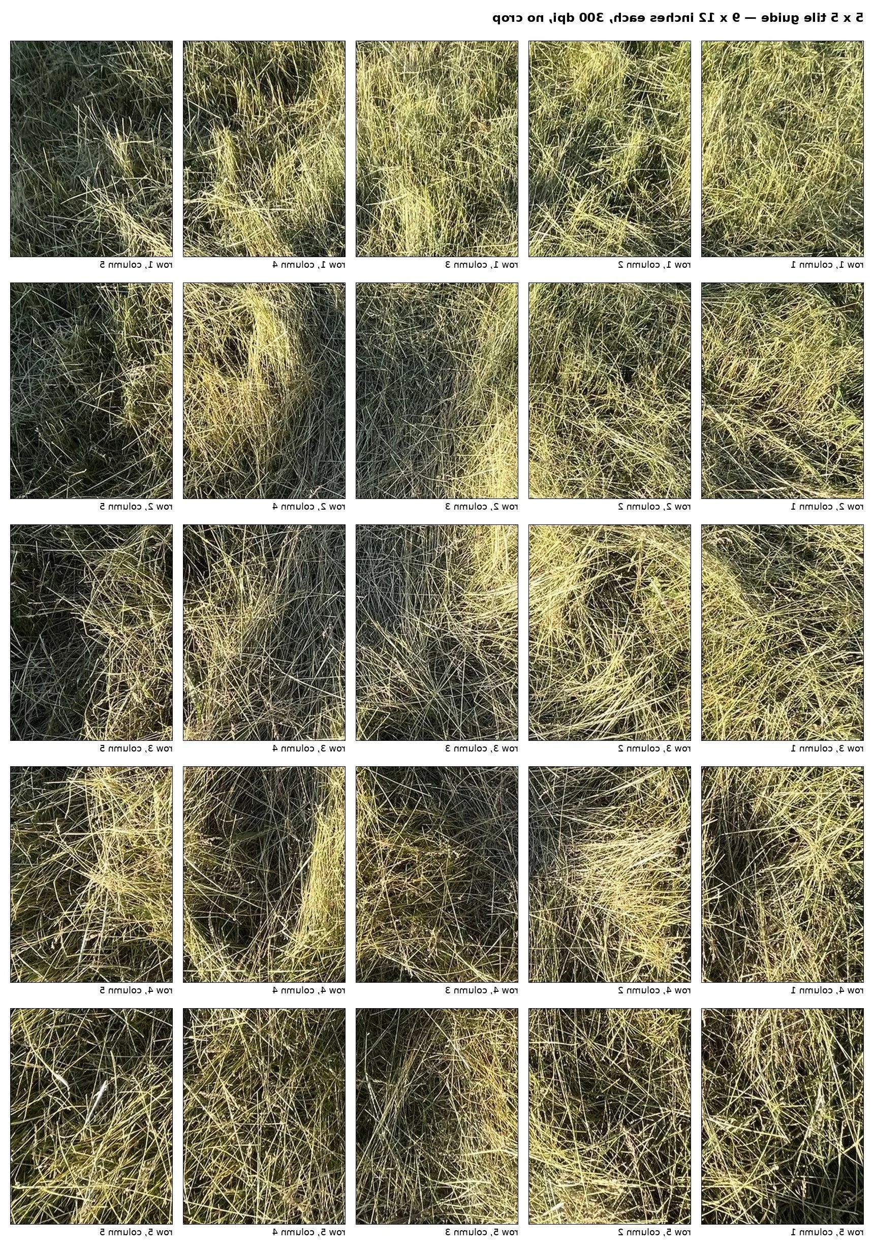 View of printed map for creating the exploded book, labeled by column and row for assembly. Photo of the imprint left in the tall grass when I laid down in it.