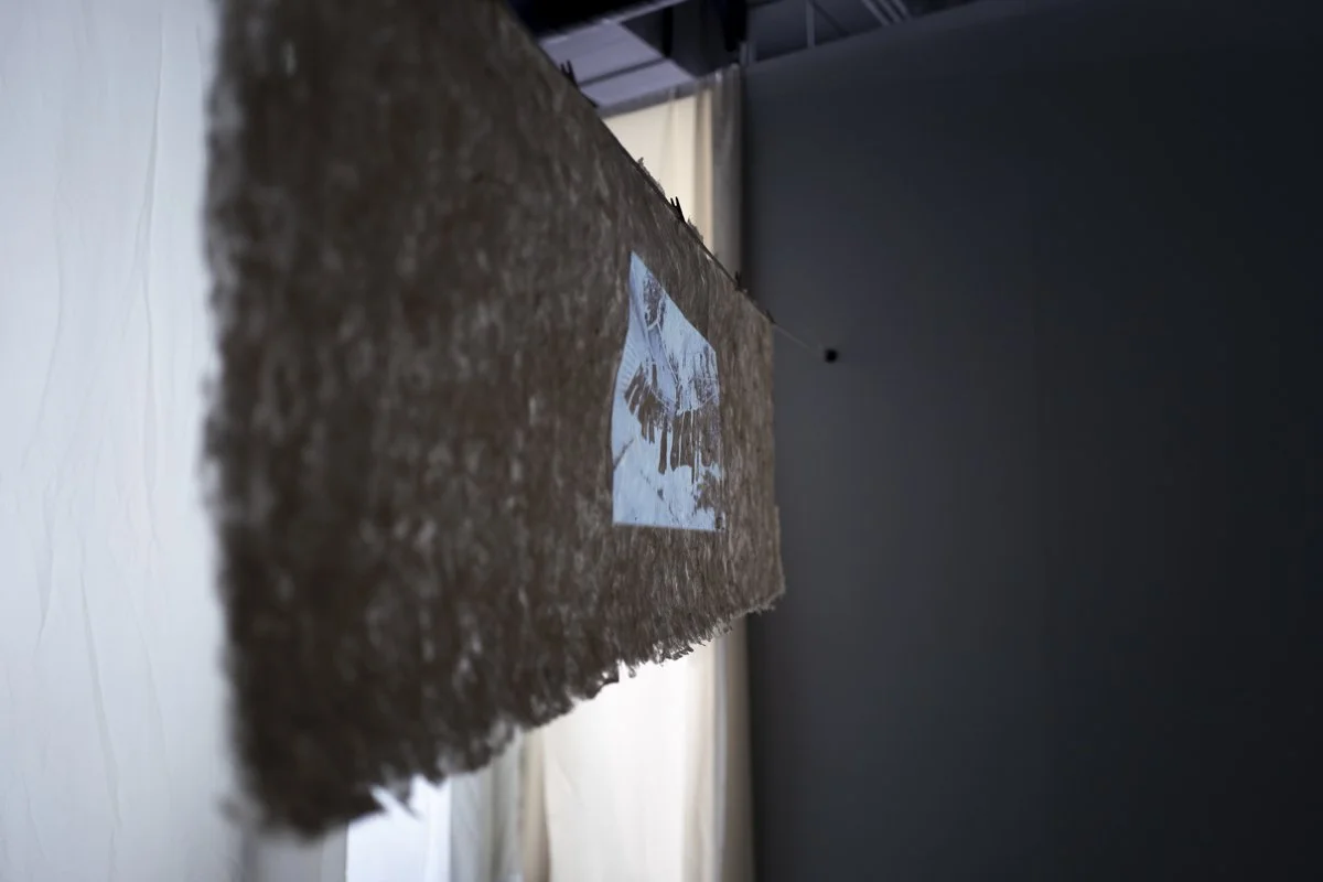 The Clotheslines (installation view)