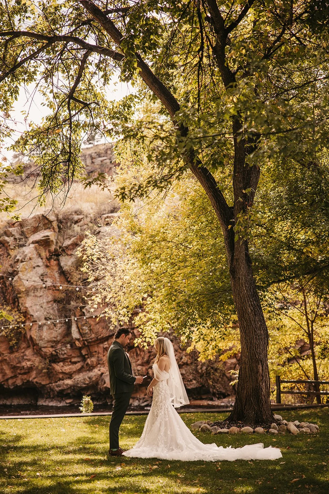 sarah+dylan-EmilyElizabethPhoto-Oct2025-bride-groom-tree.jpg