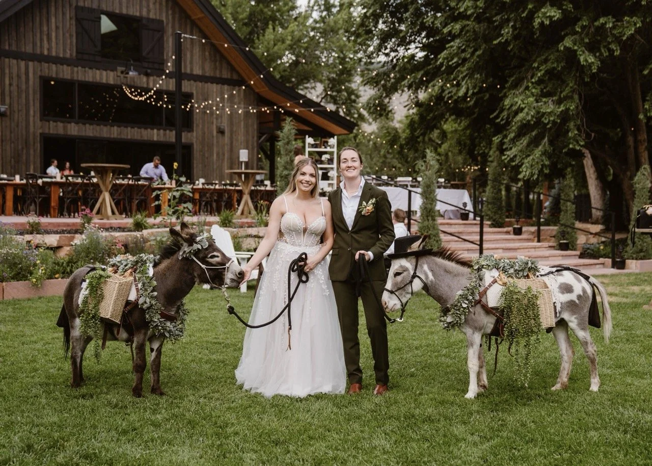 A bride and groom standing outdoors with a white horse decorated with a floral garland on its head. The bride is wearing a white wedding dress and veil, and the groom is in a navy blue suit with a blue tie. Both are smiling.