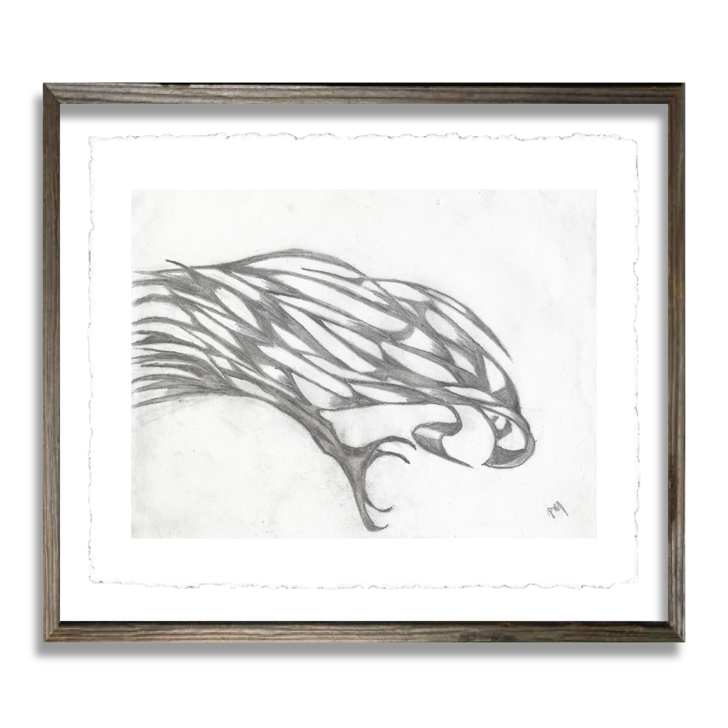 BirdofPrey-04.png