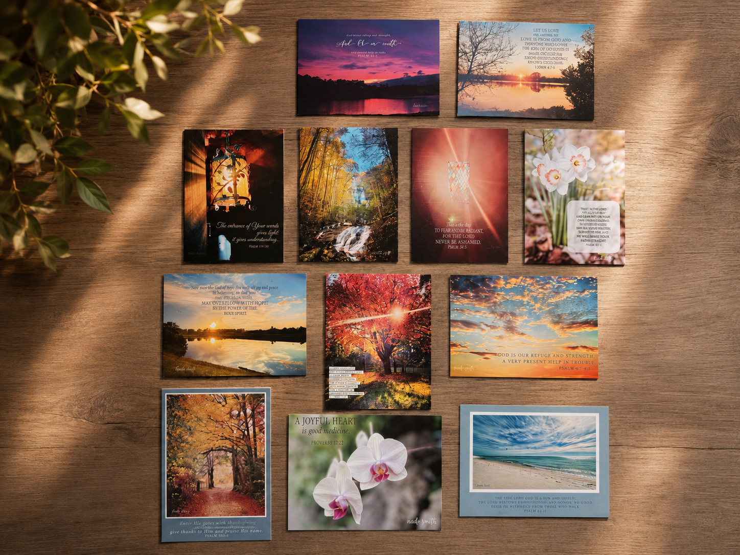 Discontinued Cards