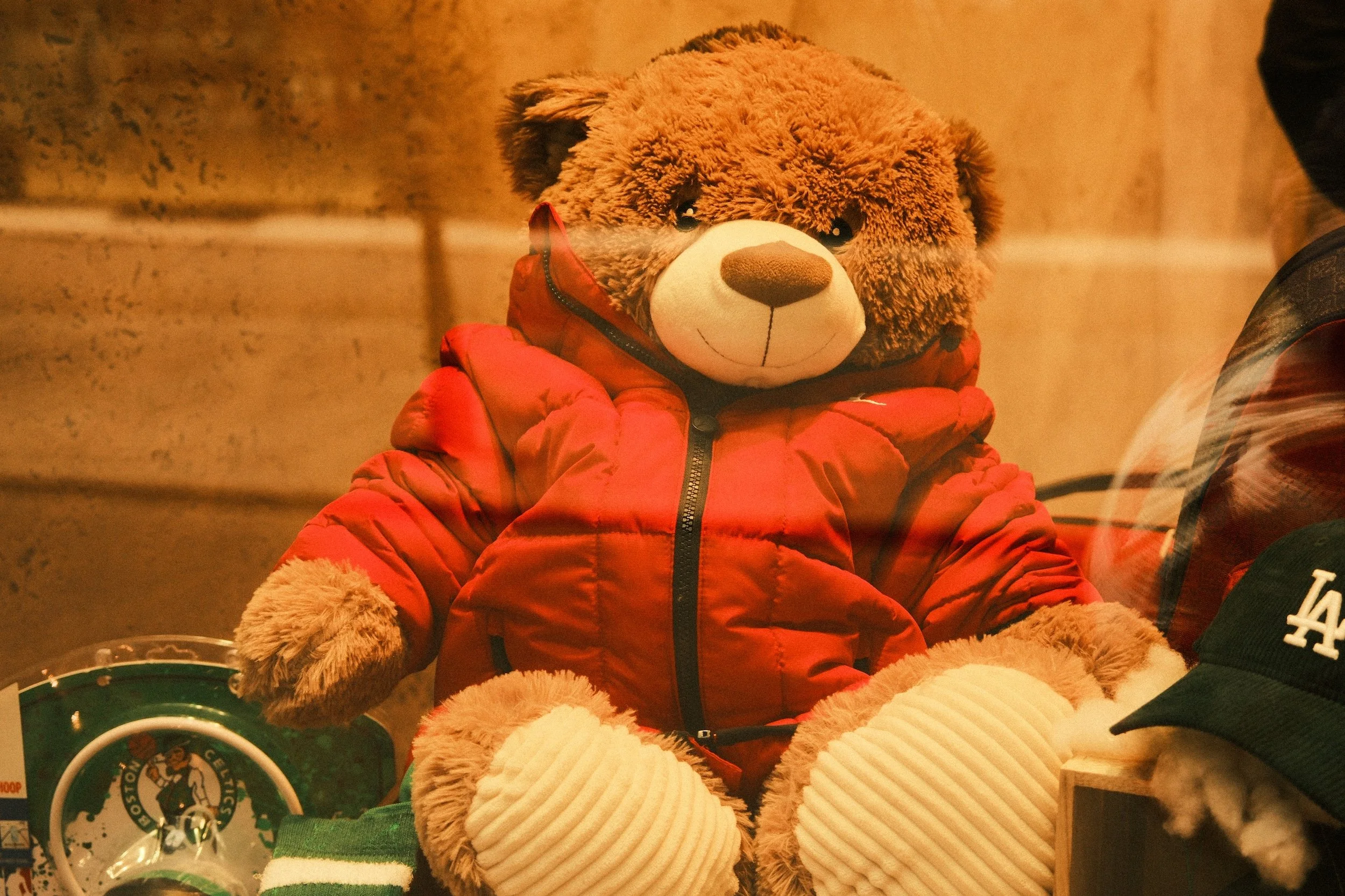 Photo of a Teddy bear with a winter jacket.