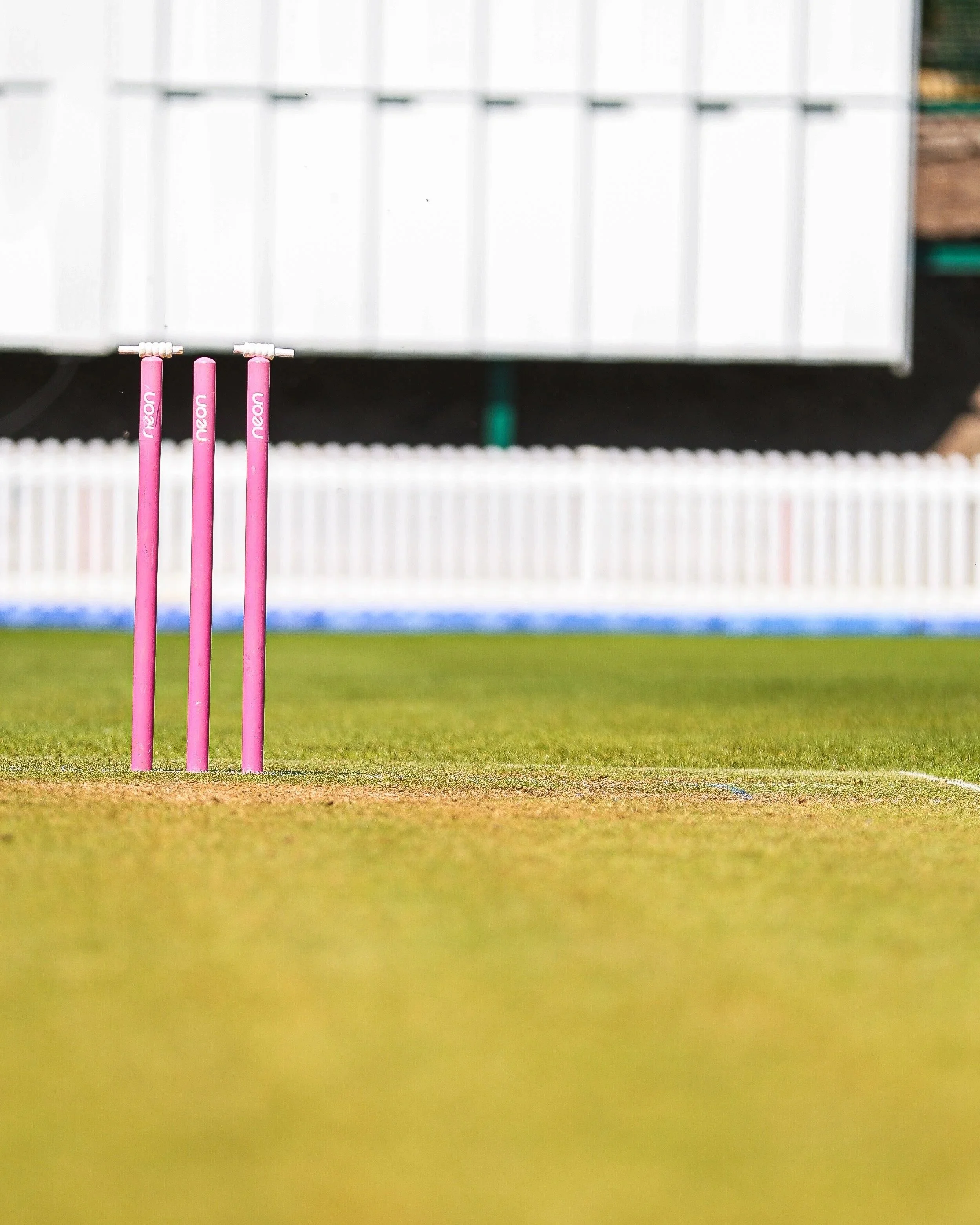 Bath Cricket Club Overseas Update