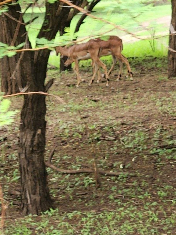 image000001 2.JPG