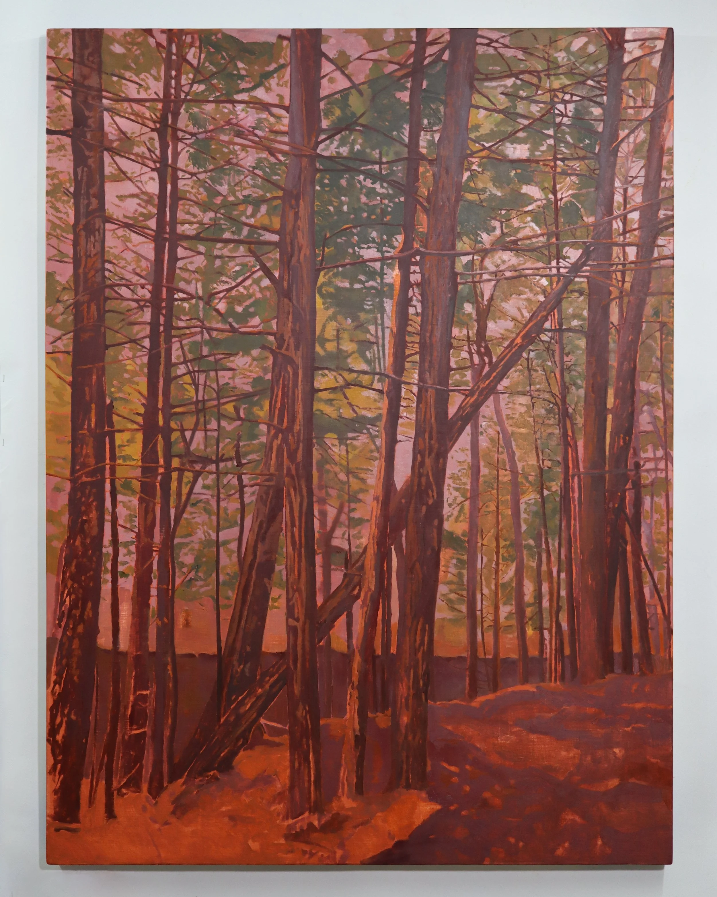 In the Pines, 2026, 48 x 36”, Oil on Linen