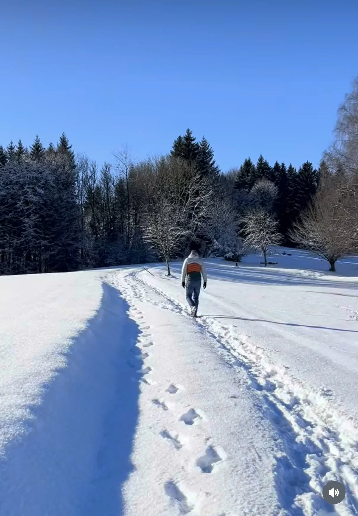 dkammer_Winterstimmung_6072.jpg