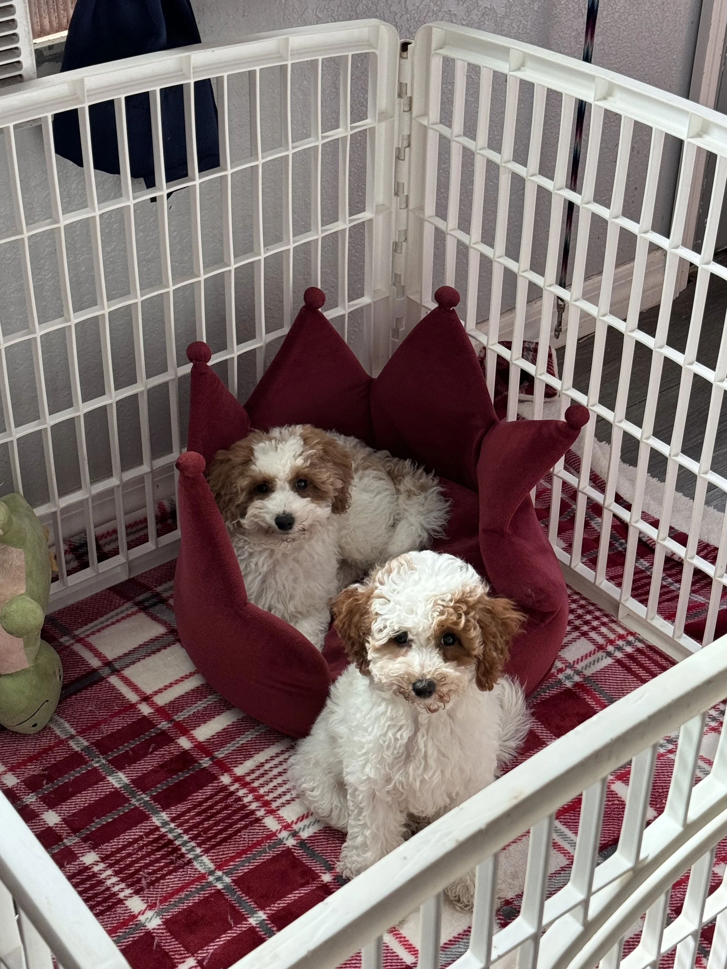 Hey, Hey what do ya say?