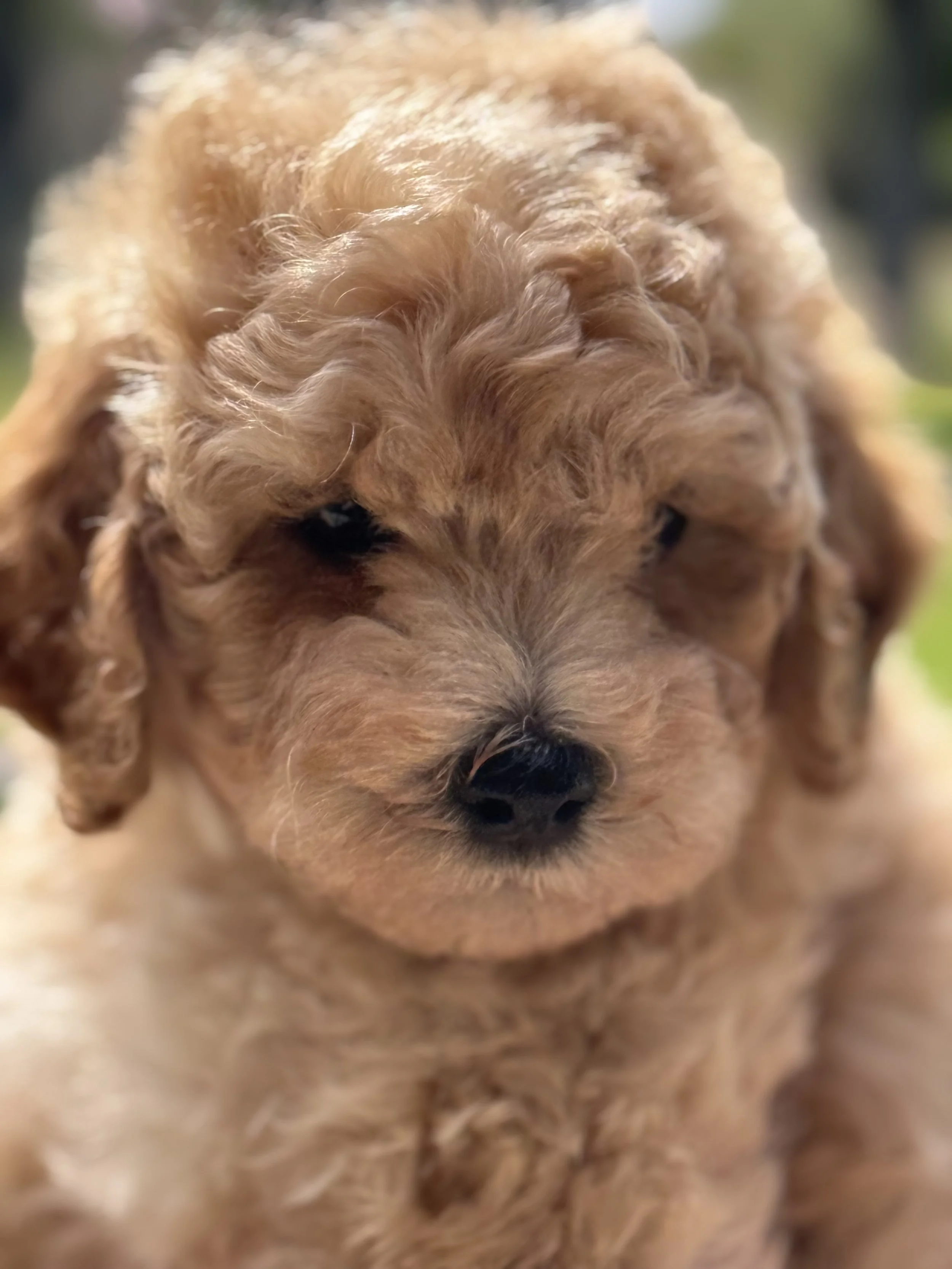 Can you even take it?