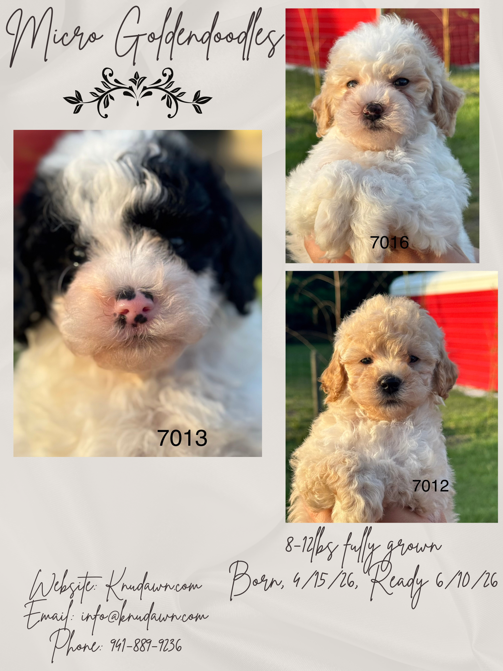 Available Females!!