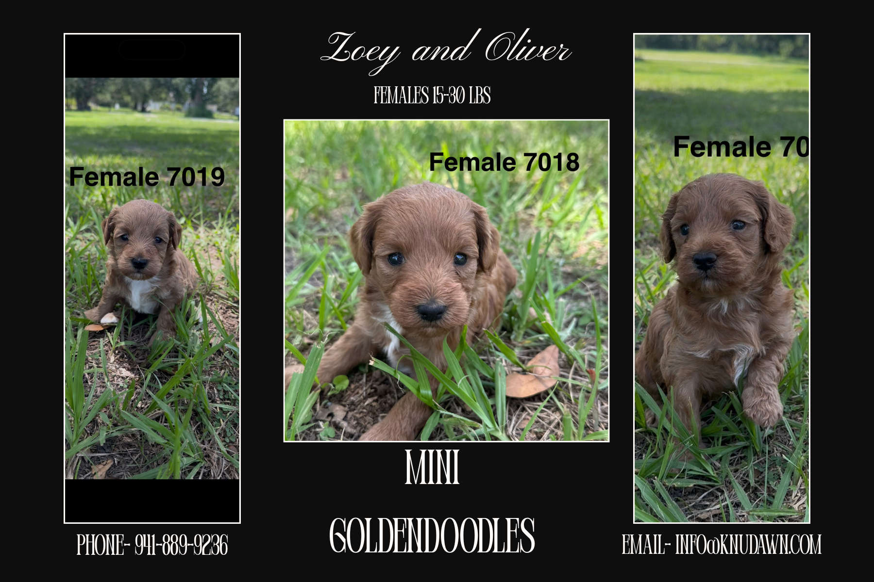 Meet your new adventure buddy!