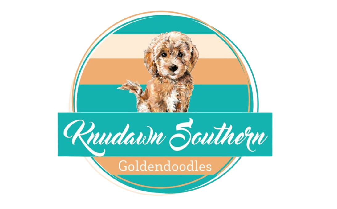 Knudawn Southern Goldendoodles