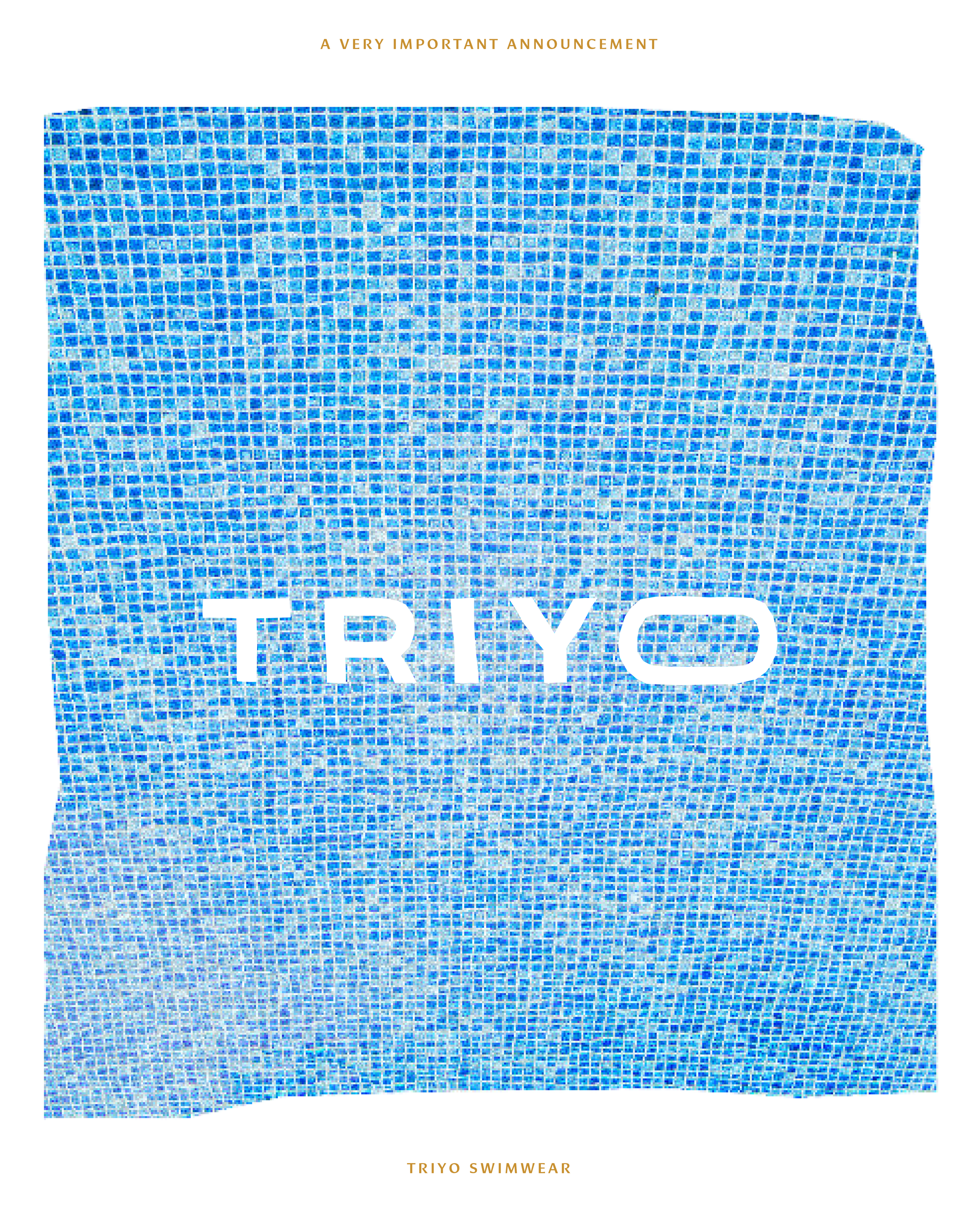 TRIYO_INSTAGRAM POSTS-03.PNG