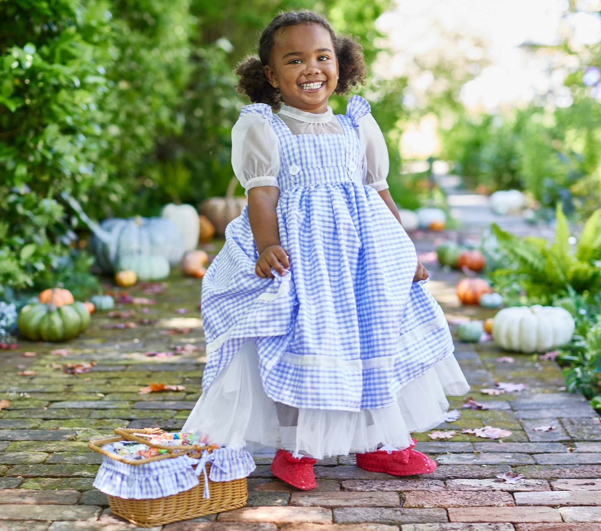 the-wizard-of-oz-dorthy-costume-3-xl.jpg