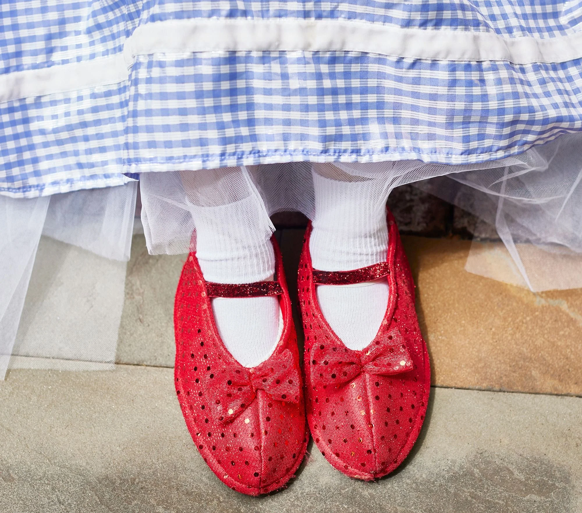 the-wizard-of-oz-dorothy-costume-xl.jpg