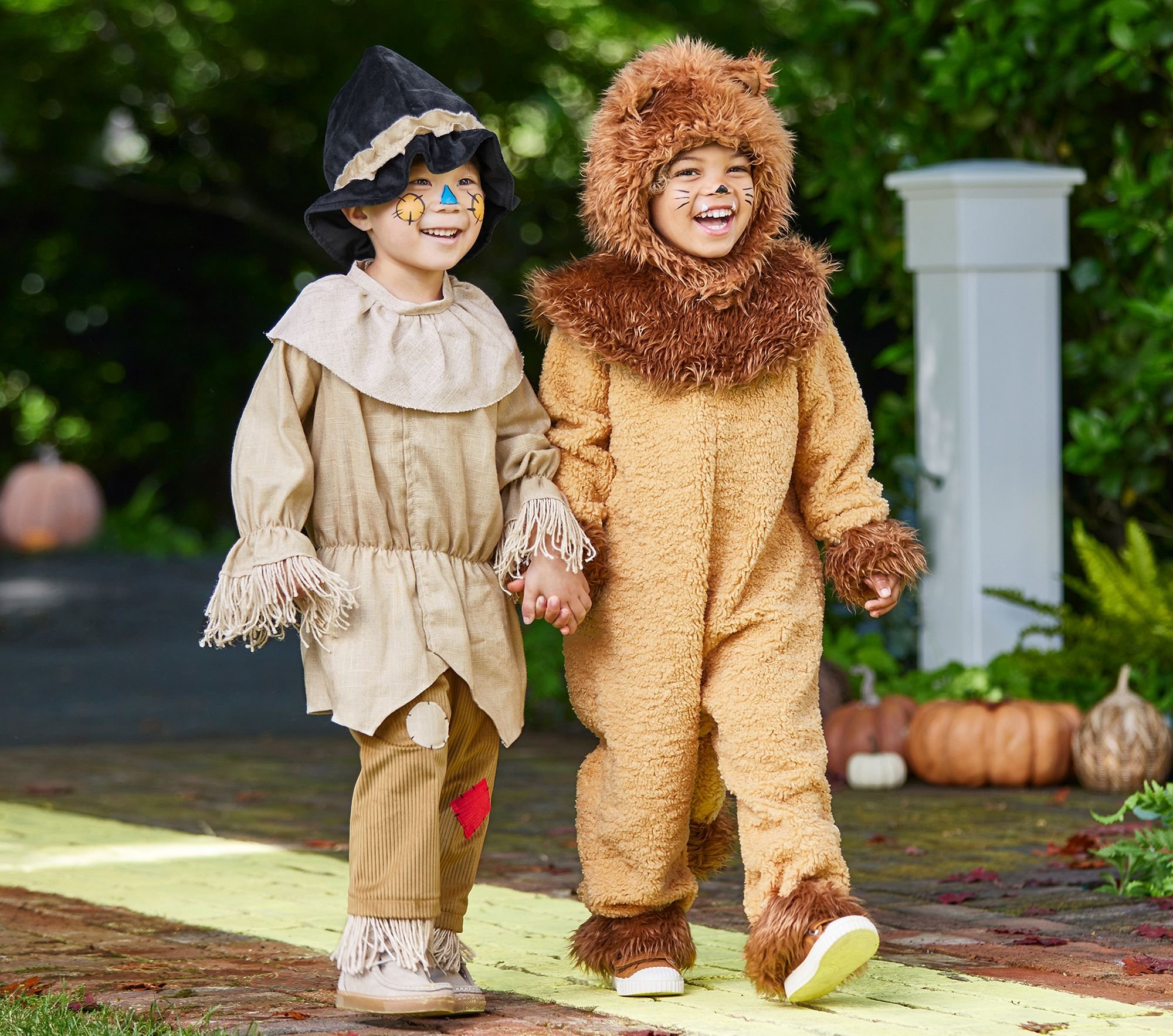 the-wizard-of-oz-cowardly-lion-costume-xl.jpg