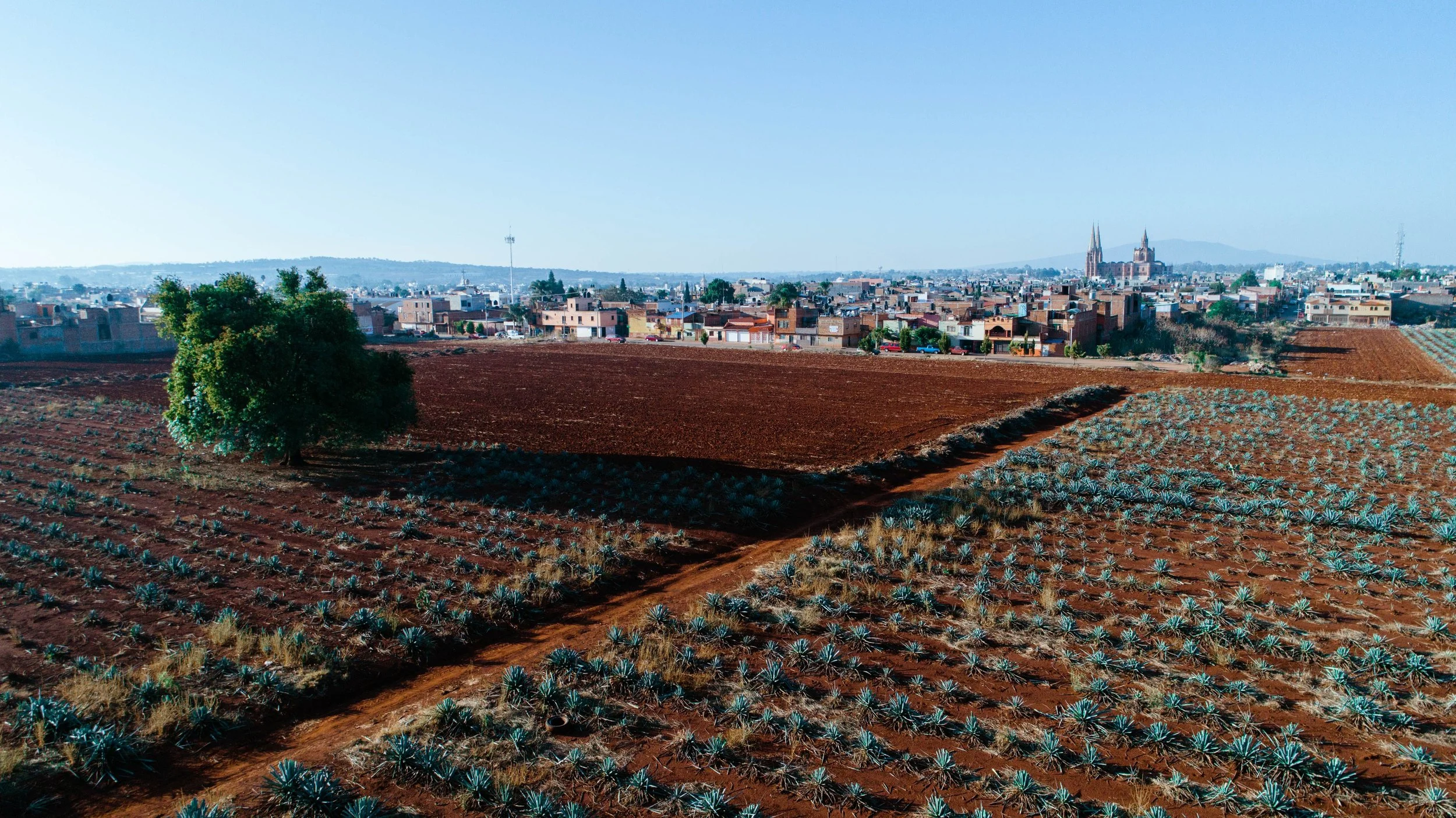 Checking Property and Land Title in Mexico