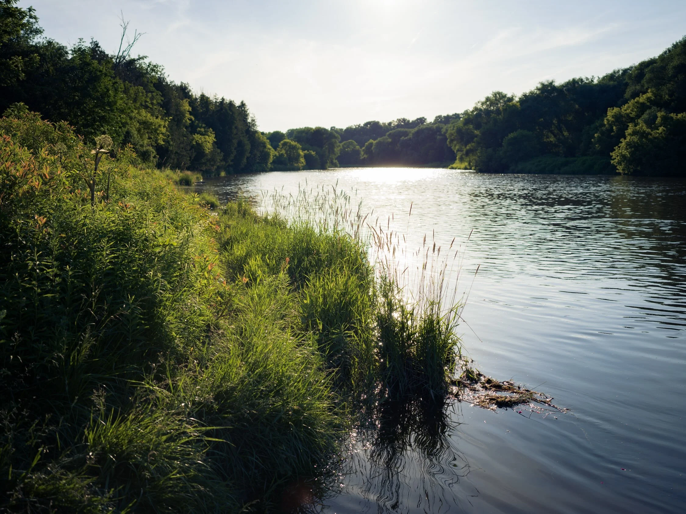 summer light