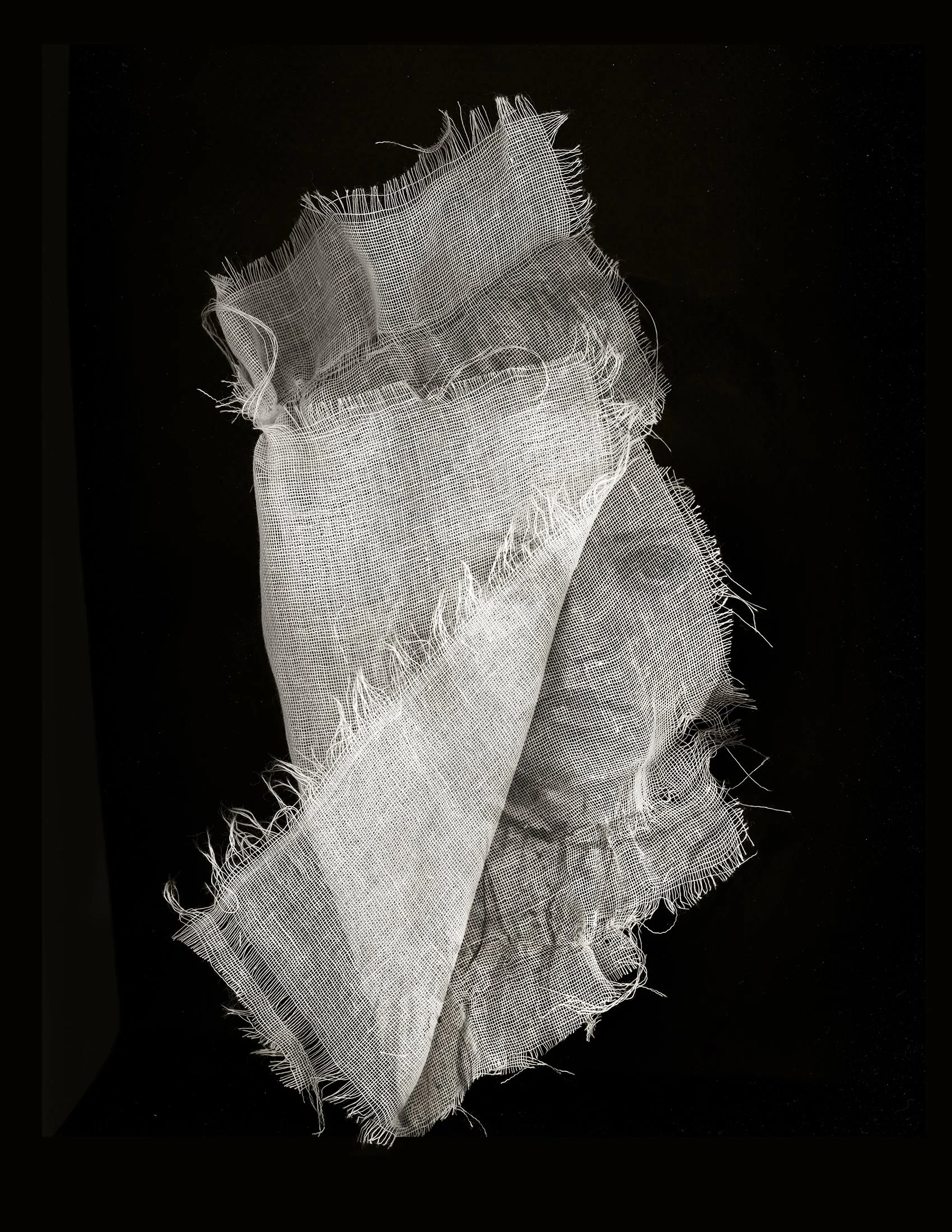 Layers of Time #31  
Collaboration: McGihon and Amy Evans.  
20 in x 24 in   