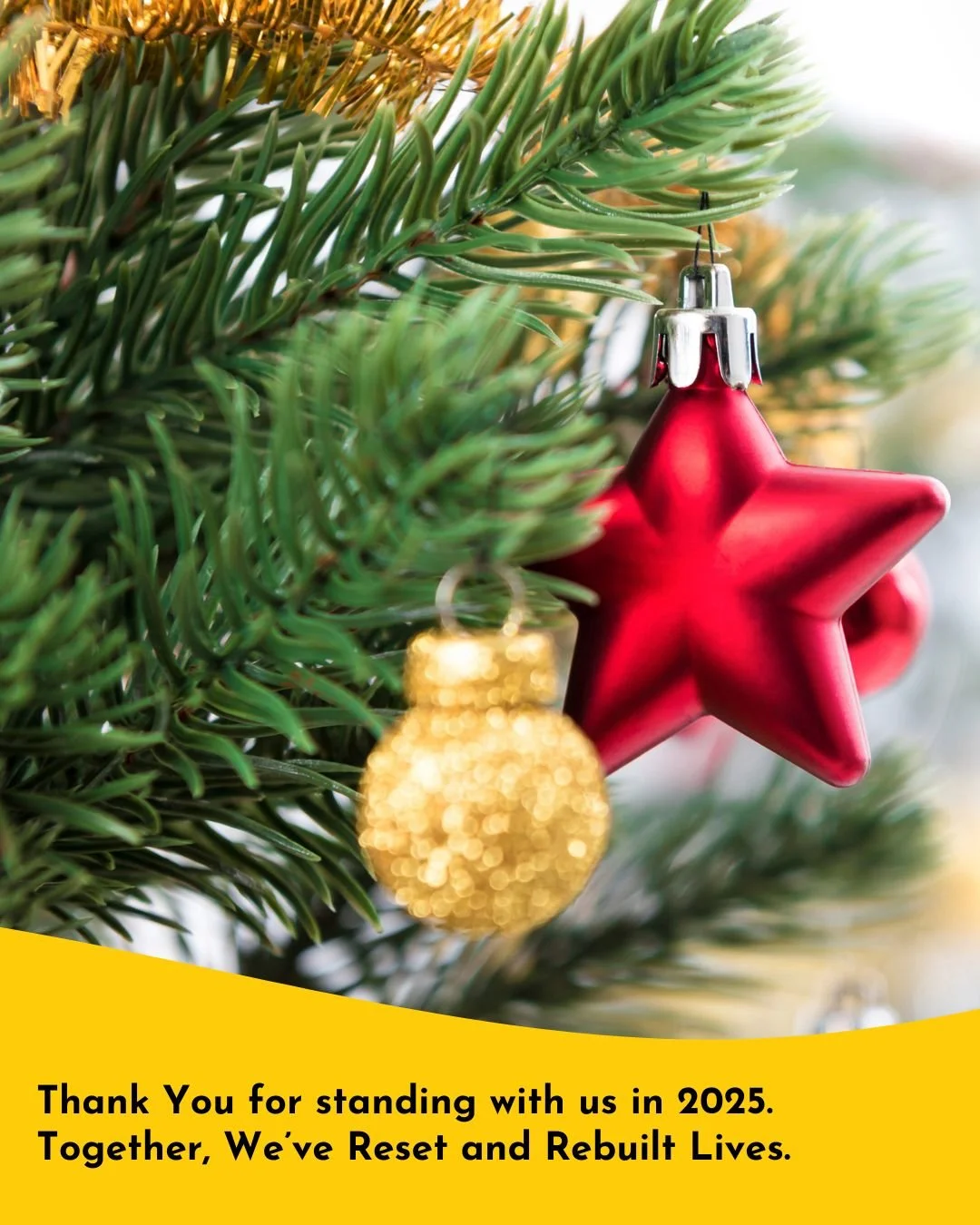 Because of You in 2025

&bull; We strengthened our foundation and expanded recovery programs nationwide
&bull; Introduced dedicated client care management to provide personalised, trauma-informed support
&bull; Launched innovative online programs to 