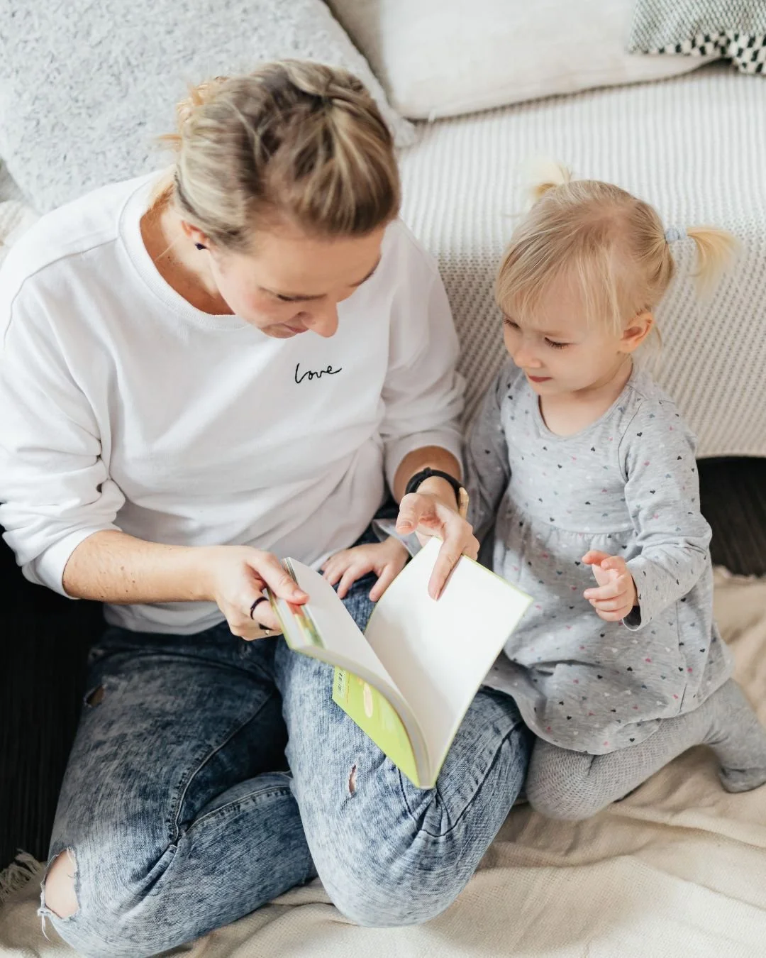 Parrallel Parenting - Online Recovery Program