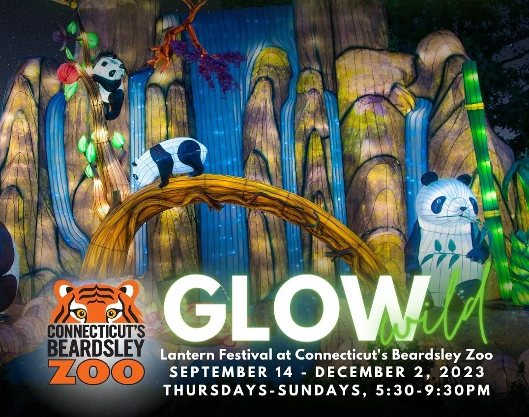 Connecticut's Beardsley Zoo — City Lights Gallery / Bridgeport Art Trail