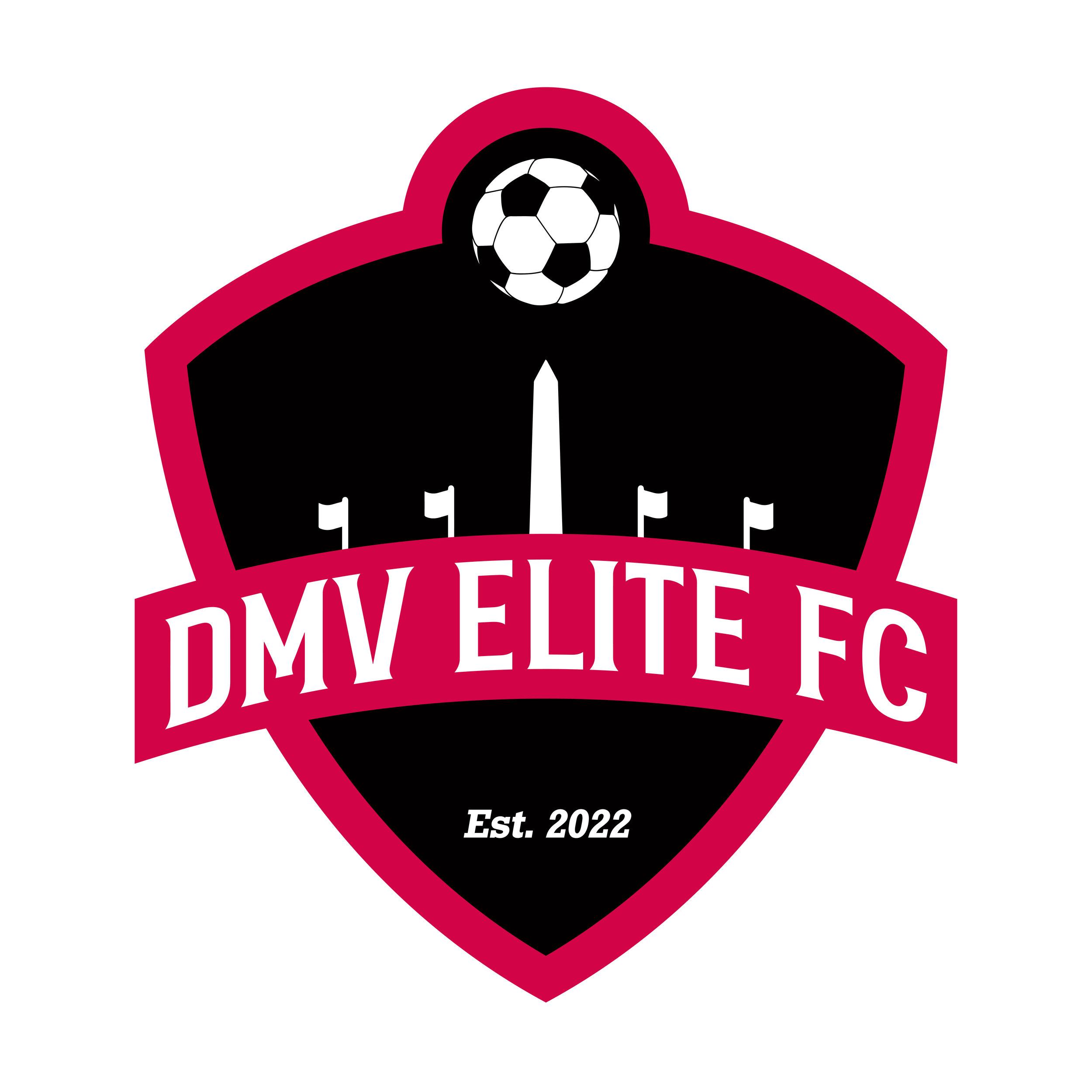 DMV Elite FC soccer team logo