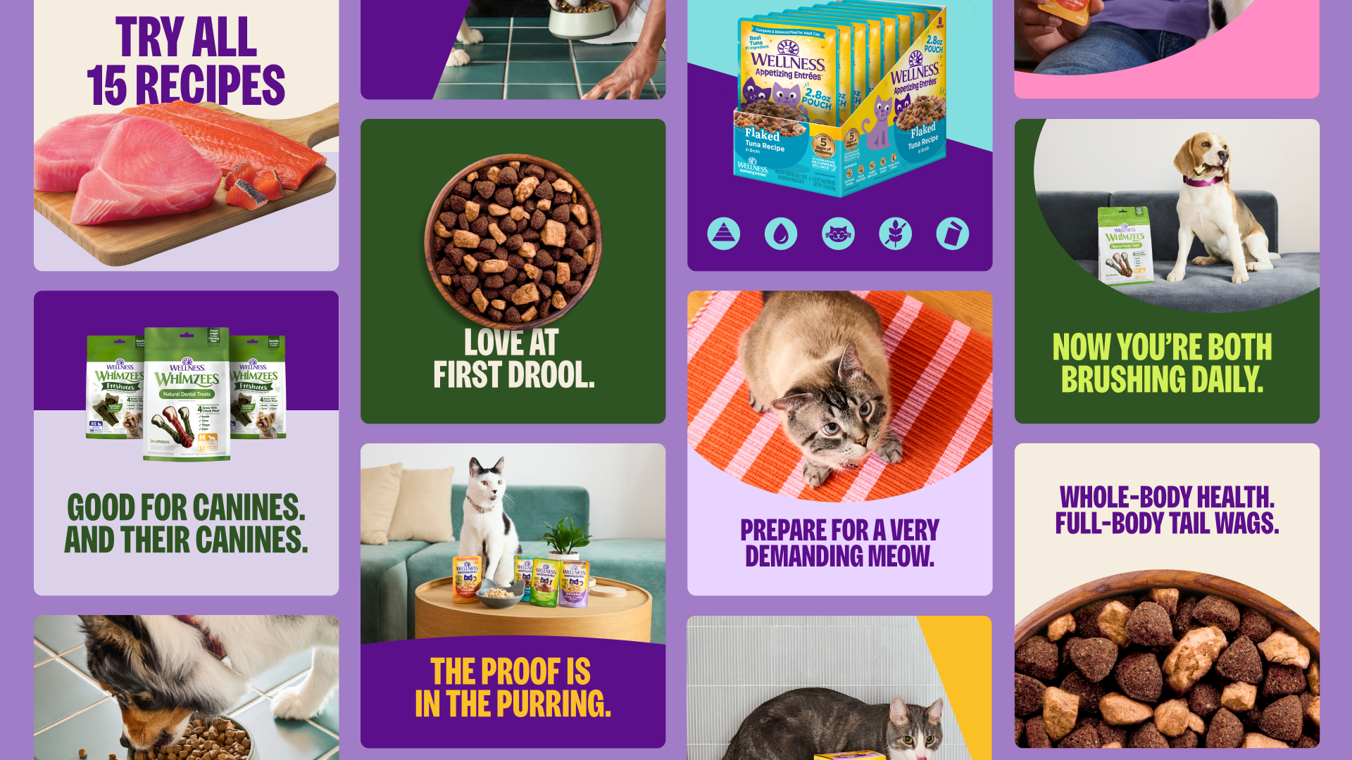 WelFrames_16x9_STATIC VERSION.png