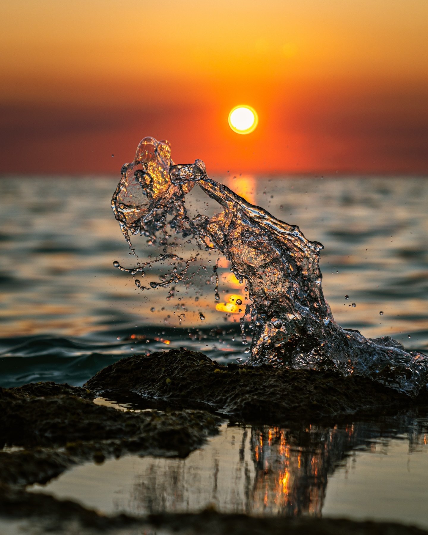 Dinosaur or a bin chicken (aka white ibis) with its beak open catching dinner? Which do you see? 😂

Another stunning sunset at Cape Range NP! Yes it took a good 20 minutes and a lot of attempts to get the very small splashes as the calm waves hit th