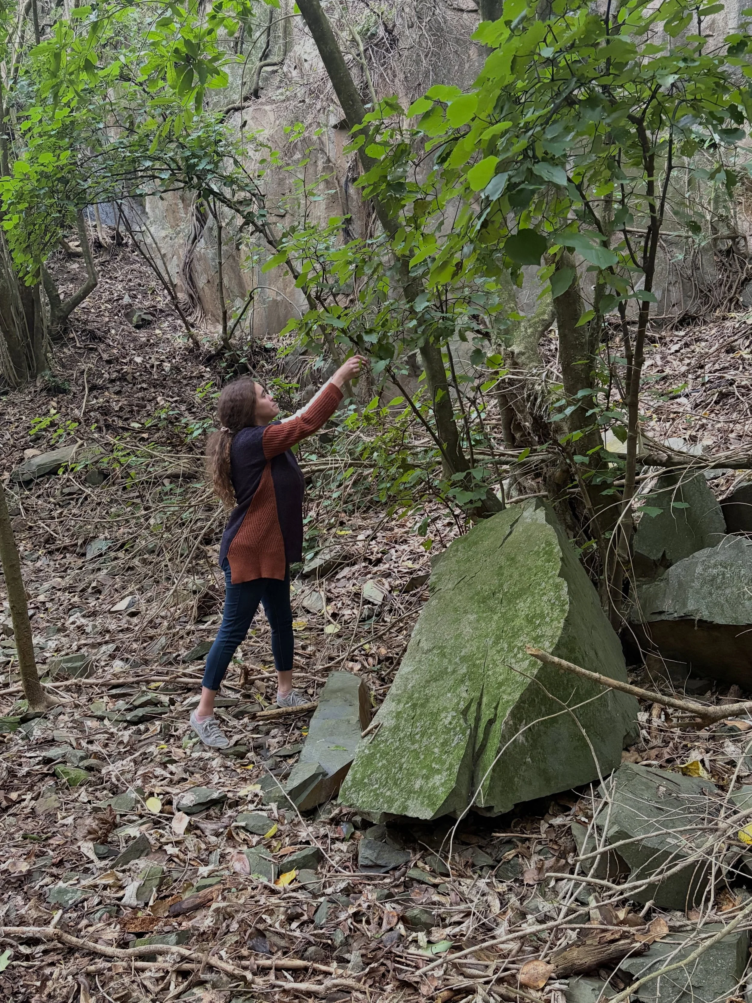 Last week our Pēpi Ora māmā finished off their rongoā activity by making kawakawa balm ✨ 

First they set out to harvest the kawakawa leaves, starting with a karakia and learning about tikanga, and the medicinal purposes of the leaf. Overtime they ma