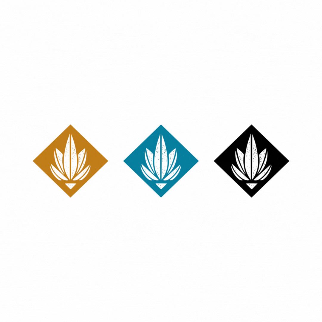 BCD-Bernardos-brand-element-design.gif