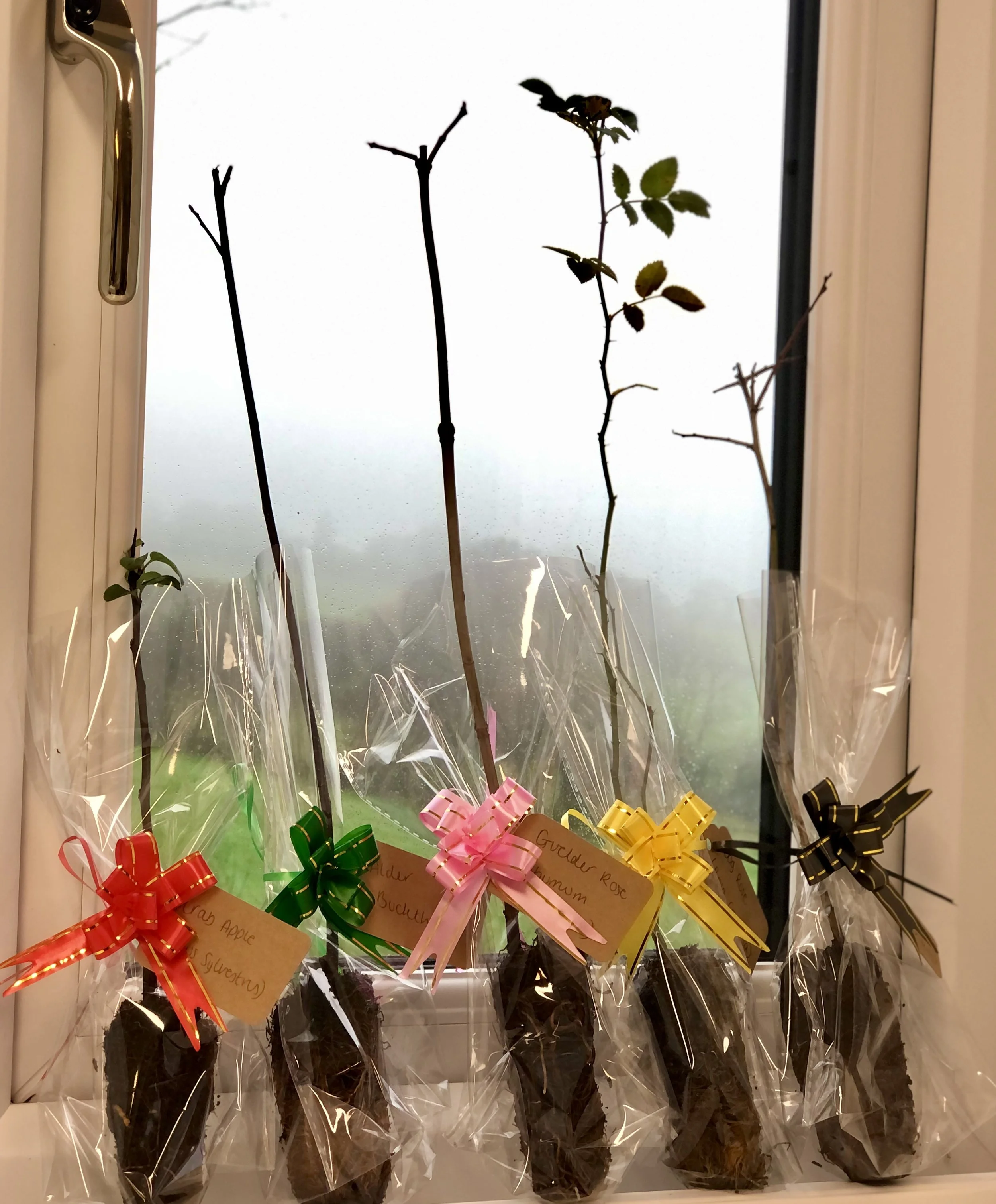 Growing Together at Neptune!