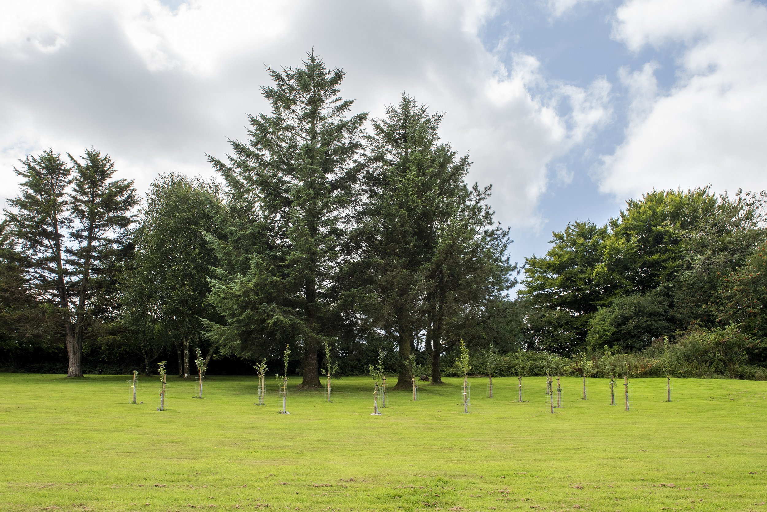 Día del Manzano en Neptuno