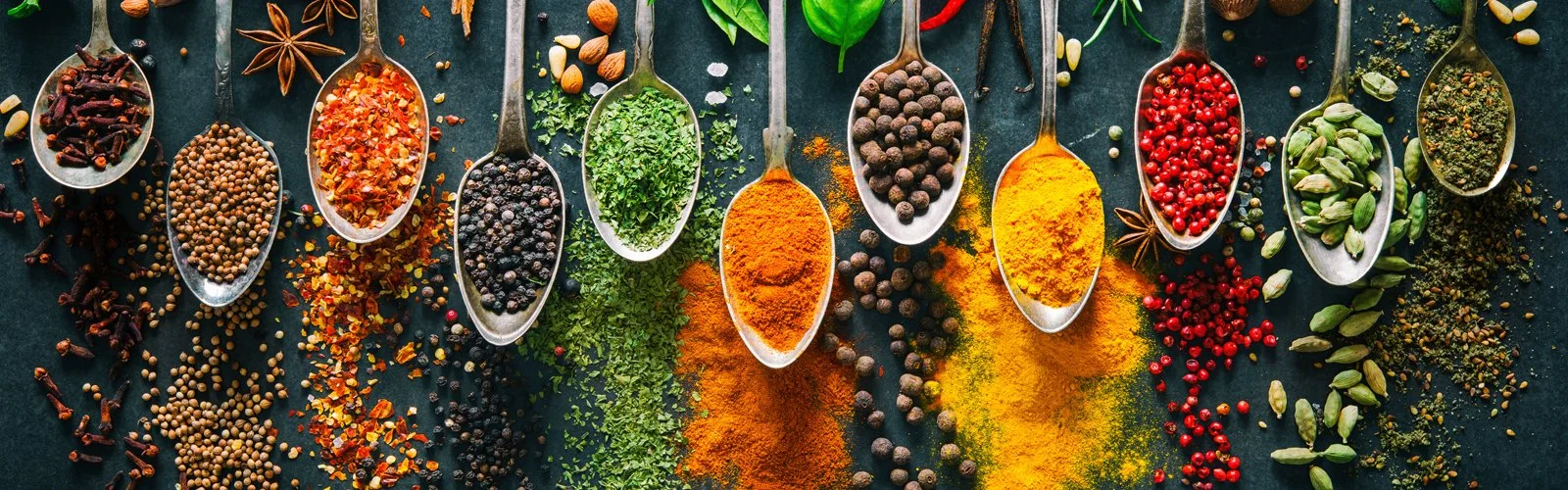 🌿 Journée mondiale de la vie sauvage 2026 : Célébrons les plantes médicinales et aromatiques : Préserver la santé, le patrimoine et les moyens de subsistance