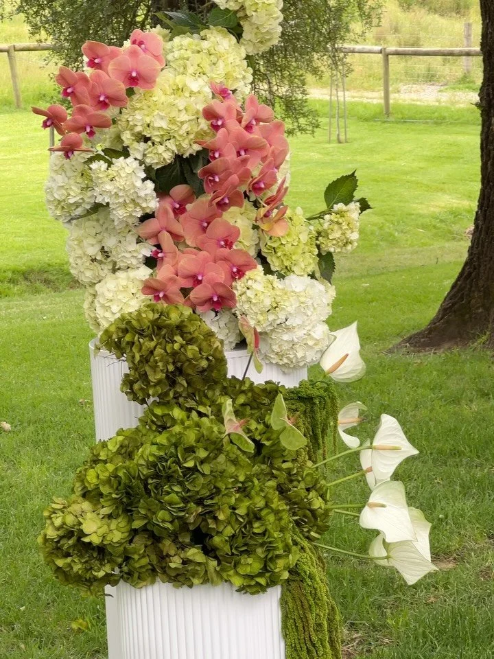 A scrapbook of modern love 💌

#2026wedding #2026weddings #weddingflowers #australianwedding #australianweddingphotographer