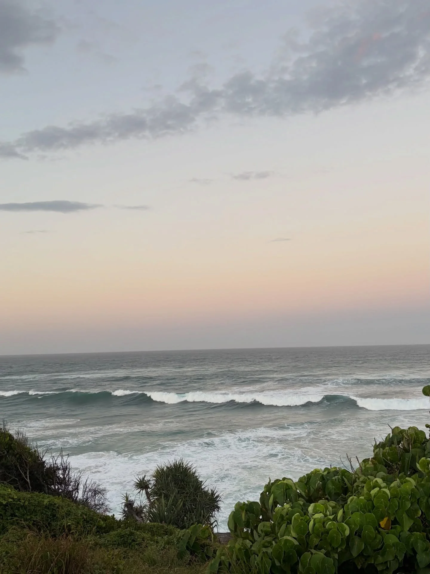 5 things my camera saw this weekend (outside of 4 wonderful wedding meetings) 🤗