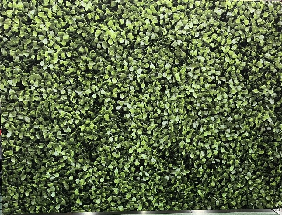 Boxwood Backdrop