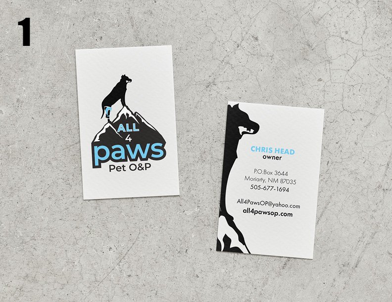 All 4 Business Card Presentation.jpg
