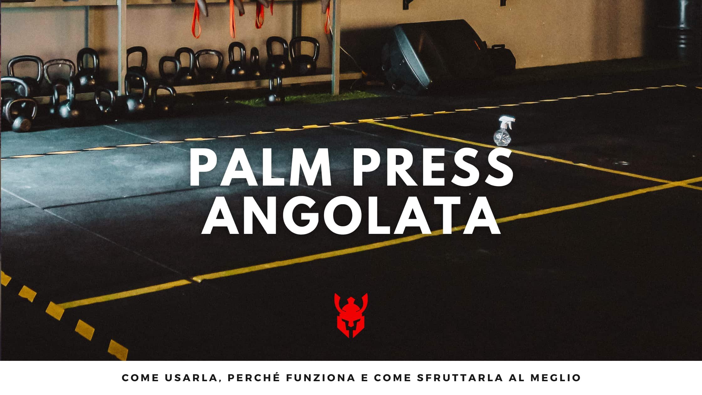 Barra Palm Press Angolata: Isolamento Tricipiti Senza Stress Articolare