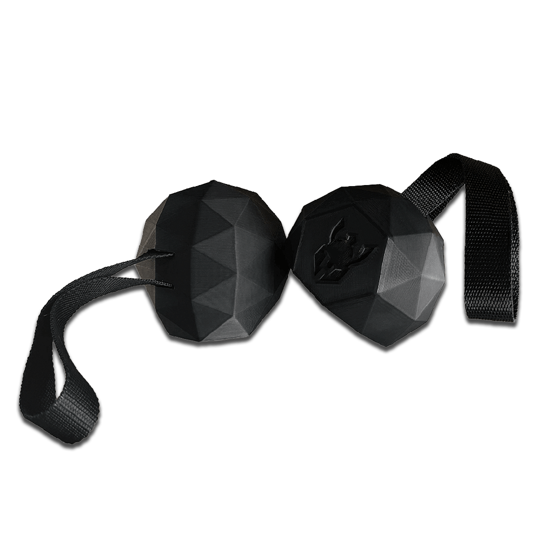 kotor MuscleMakers Icosphere1-min.png